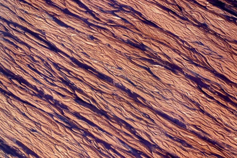 Illustration for article titled These Are Our Favorite Earth Images of 2015